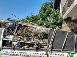 Best Basement Cleanout  in Rockport, IN